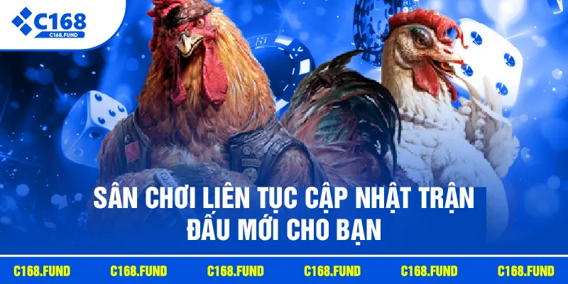 Sân chơi liên tục cập nhật trận đấu mới cho bạn